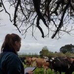 FB_IMG_1761599377755