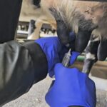 Screenshot_20251030_211454_Photos