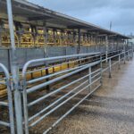 Ck4KTFNuYXBjaGF0LzEzLjM1LjAuNDYgKFNNLVM5MjFCOyBBbmRyb2lkIDE0I1M5MjFCWFhTNUFZQjcjMzQ7IGd6aXApIFYvTVVTSFJPT00=